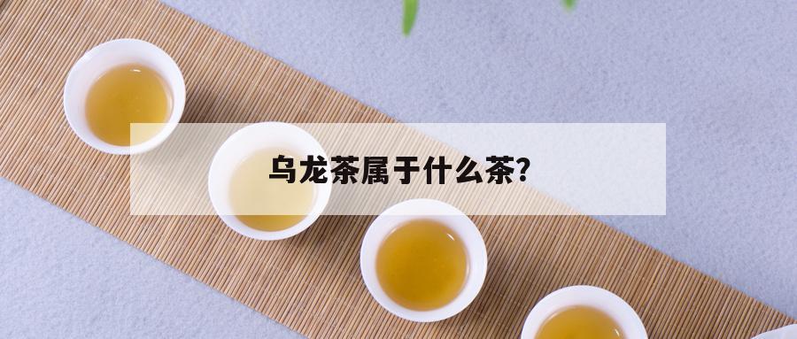 乌龙茶属于什么茶？