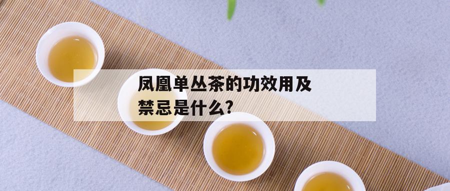 凤凰单丛茶的功效用及禁忌是什么?