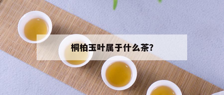 桐柏玉叶属于什么茶？